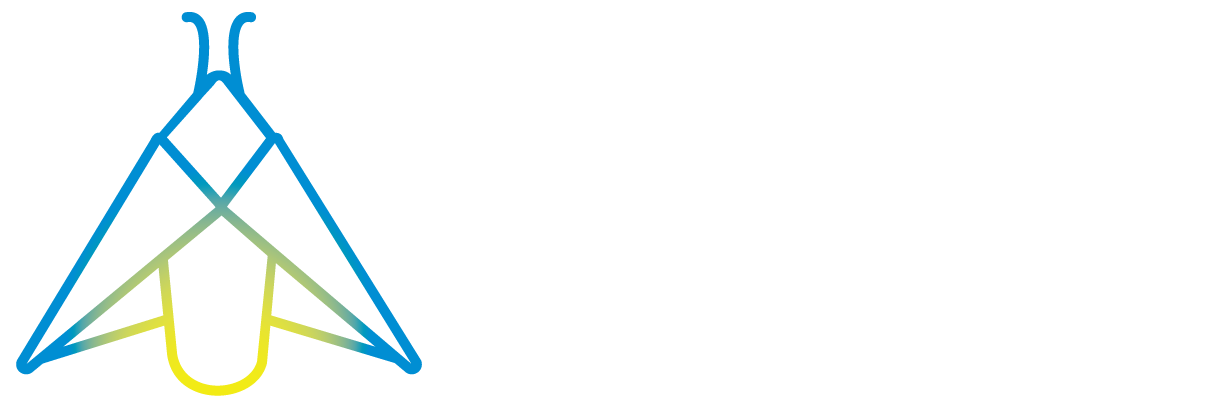 Diseño gráfico que posiciona tu marca